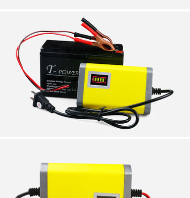 Lader van de hoog rendement de krachtige SLIMME batterij 12v/24v 5A 10A 20Amp voor lood zure batterij